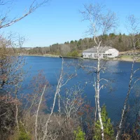 Lily Lake