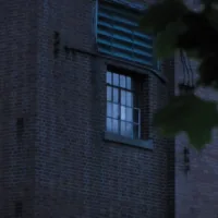 Side Window