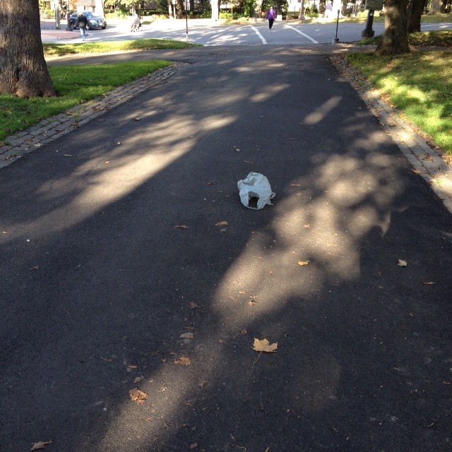 Of all the amazing things I’ve seen today, here is a picture of a King’s Sq. tumble bag.